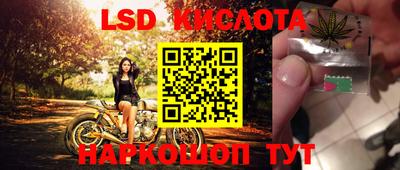 jwh Будённовск