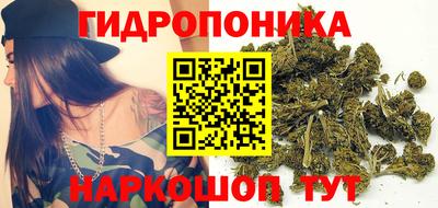 jwh Будённовск
