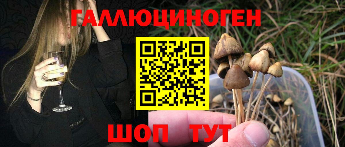 Псилоцибиновые грибы Psilocybine cubensis  Вход с VPN  Красноярск 